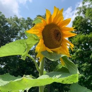 Meet your Posher, Sharon